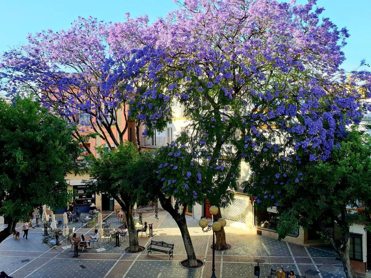 Sherryflat Senovilla Jerez de la Frontera Luaran gambar