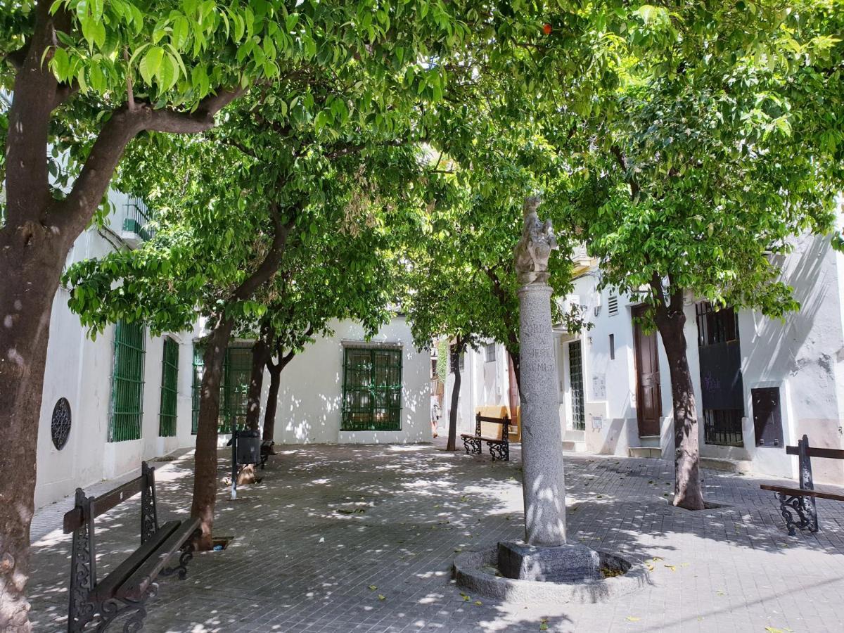 Sherryflat Senovilla Jerez de la Frontera Luaran gambar